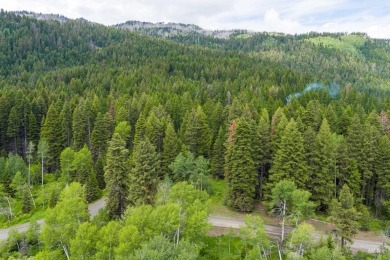 Lake Lot For Sale in Donnelly, Idaho