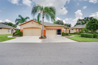 (private lake, pond, creek) Condo For Sale in Sun City Center Florida