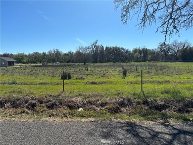 Sacramento River - Tehama County Acreage For Sale in Los Molinos California