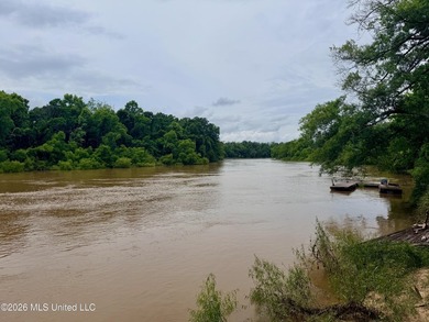 Riverfront Retreat With Panoramic Views, Sandbar Access & Boat - photo 6