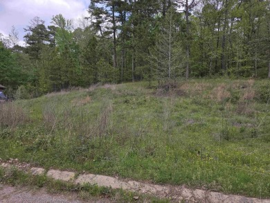Lake Catherine Lot For Sale in Hot Springs Arkansas