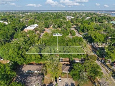 Charming 3BR/2BA Lowcountry home ideally located near historic - photo 28