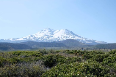 Lake Acreage For Sale in Weed, California
