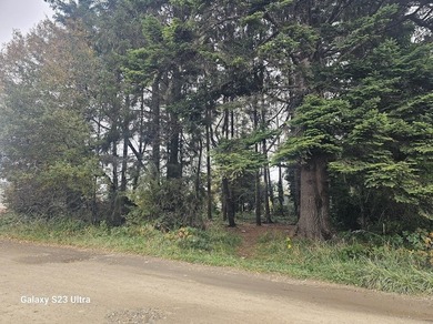 This corner lot has .23 of an acre with trees. Newer homes - photo 1