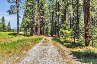 Lake Lot For Sale in Blairsden, California