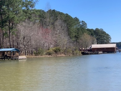 Lake Eddins Lot For Sale in Pachuta Mississippi