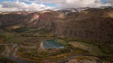 Monique Flora, The Wells Group of Durango, LLC, C: , monique,  :