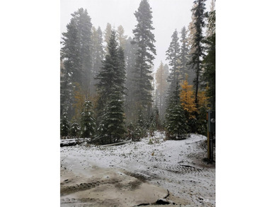 Excellent price on the ultimate outdoor enthusiast's dream, with - photo 19