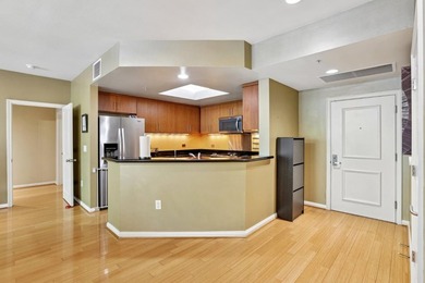 Rare opportunity to own one of Downtown San Joses premier - photo 9