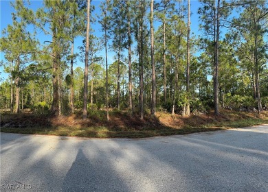 Lehigh Acres Area Lot For Sale in Lehigh Acres Florida