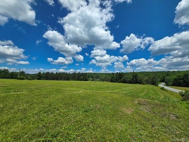 Here's your chance to own a landmark property with history - photo 37
