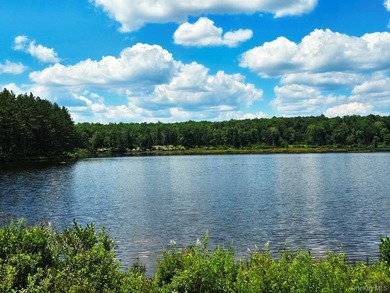 Here's your chance to own a landmark property with history - photo 40