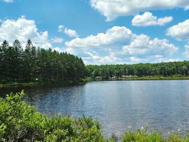 Here's your chance to own a landmark property with history - photo 41