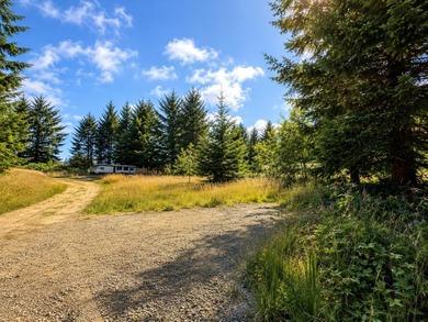 Desirable 1-acre parcel offering the perfect blend of country - photo 1