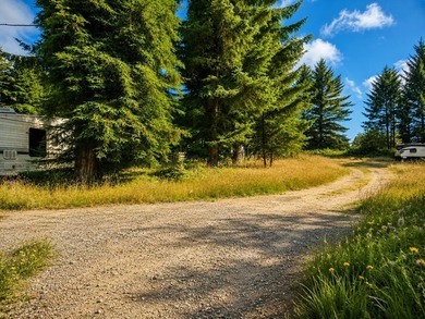 Desirable 1-acre parcel offering the perfect blend of country - photo 3