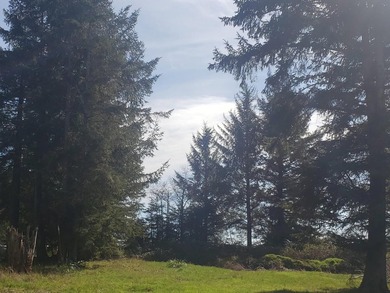 Desirable 1-acre parcel offering the perfect blend of country - photo 4