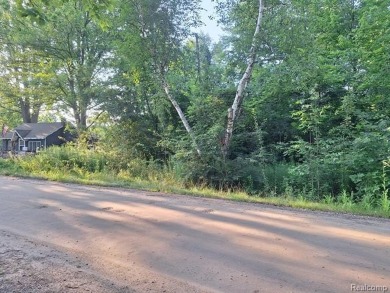 Lake Huron - Sanilac County Lot For Sale in Lexington Michigan