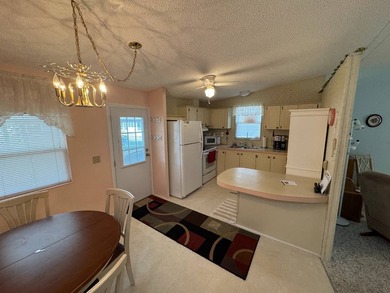 Neat Clean and Ready to Move In - Fully Furnished - Only $25,900 - photo 12