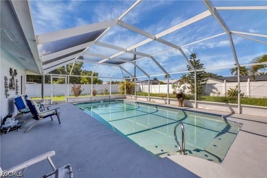 Welcome to this well-maintained Port Charlotte home offering 3 - photo 26