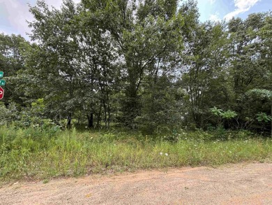 Crooked Lake - Clare County Lot For Sale in Lake Michigan