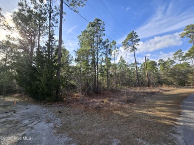 Frink Lake  Lot Active Under Contract in Southport North Carolina