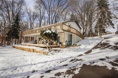 Lake Louisa Home For Sale in South Haven Minnesota