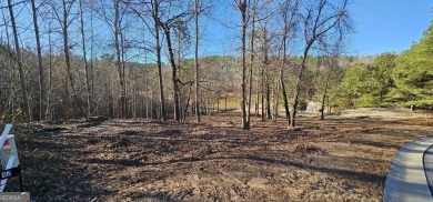 Lake Hartwell Lot For Sale in Toccoa Georgia