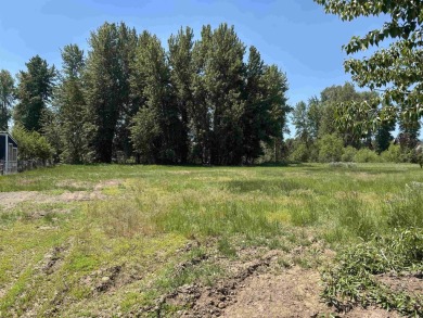 Lake Lot For Sale in Chester, California