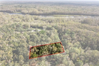 Tsala Apopka Chain of Lakes Lot For Sale in Floral City Florida