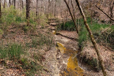 Nestled in the rolling hills of Warren County, Mississippi, this - photo 12
