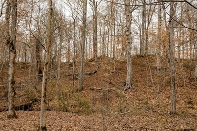 Nestled in the rolling hills of Warren County, Mississippi, this - photo 13
