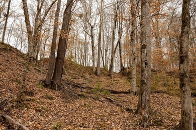 Nestled in the rolling hills of Warren County, Mississippi, this - photo 15