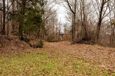 Nestled in the rolling hills of Warren County, Mississippi, this - photo 17