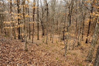 Nestled in the rolling hills of Warren County, Mississippi, this - photo 18