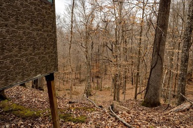 Nestled in the rolling hills of Warren County, Mississippi, this - photo 19