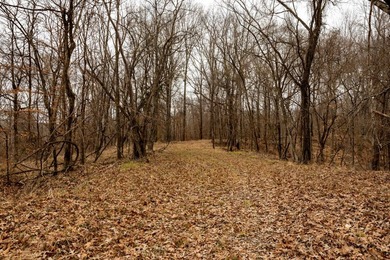Nestled in the rolling hills of Warren County, Mississippi, this - photo 20