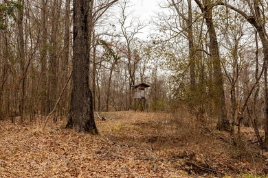 Nestled in the rolling hills of Warren County, Mississippi, this - photo 21