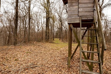 Nestled in the rolling hills of Warren County, Mississippi, this - photo 22