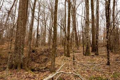 Nestled in the rolling hills of Warren County, Mississippi, this - photo 25