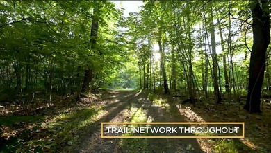 Rare opportunity to own a large, former Scout Camp with a 60+/- - photo 26