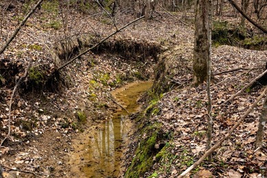 Nestled in the rolling hills of Warren County, Mississippi, this - photo 28