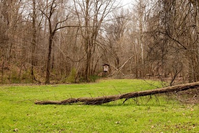 Nestled in the rolling hills of Warren County, Mississippi, this - photo 29