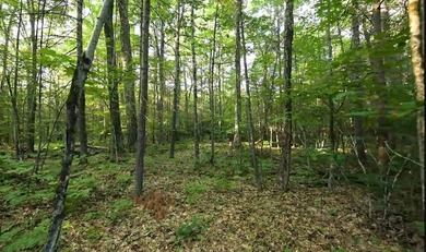 Rare opportunity to own a large, former Scout Camp with a 60+/- - photo 30