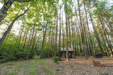 Rare opportunity to own a large, former Scout Camp with a 60+/- - photo 33