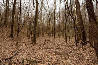 Nestled in the rolling hills of Warren County, Mississippi, this - photo 35