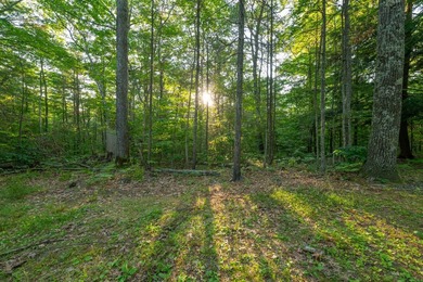Rare opportunity to own a large, former Scout Camp with a 60+/- - photo 36