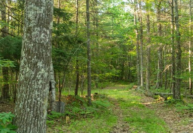Rare opportunity to own a large, former Scout Camp with a 60+/- - photo 38