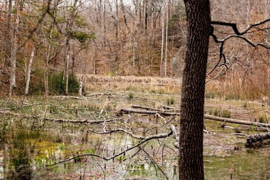 Nestled in the rolling hills of Warren County, Mississippi, this - photo 38