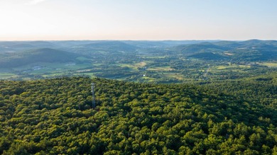 Rare opportunity to own a large, former Scout Camp with a 60+/- - photo 39
