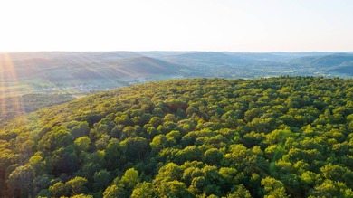 Rare opportunity to own a large, former Scout Camp with a 60+/- - photo 40